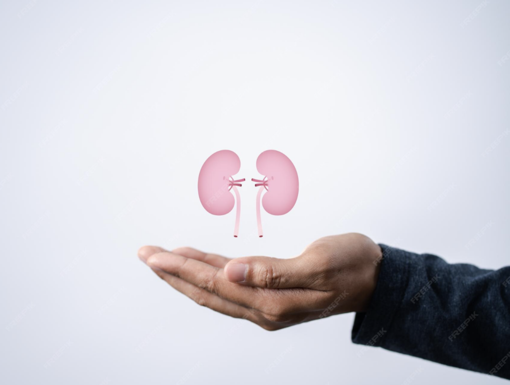 How Lifestyle Affects Your Urinary and Kidney Health