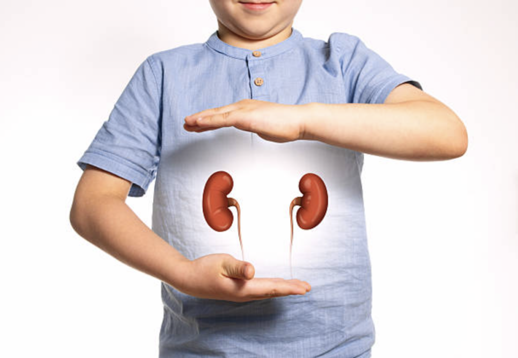 Paediatric Urology: Specialized Care for Children’s Urinary and Urological Health